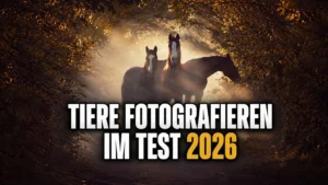 Shootcamp Tiere fotografieren: Test, Inhalte & Erfahrungen Shootcamp Tiere fotografieren Test – Kurs mit Wiebke Haas