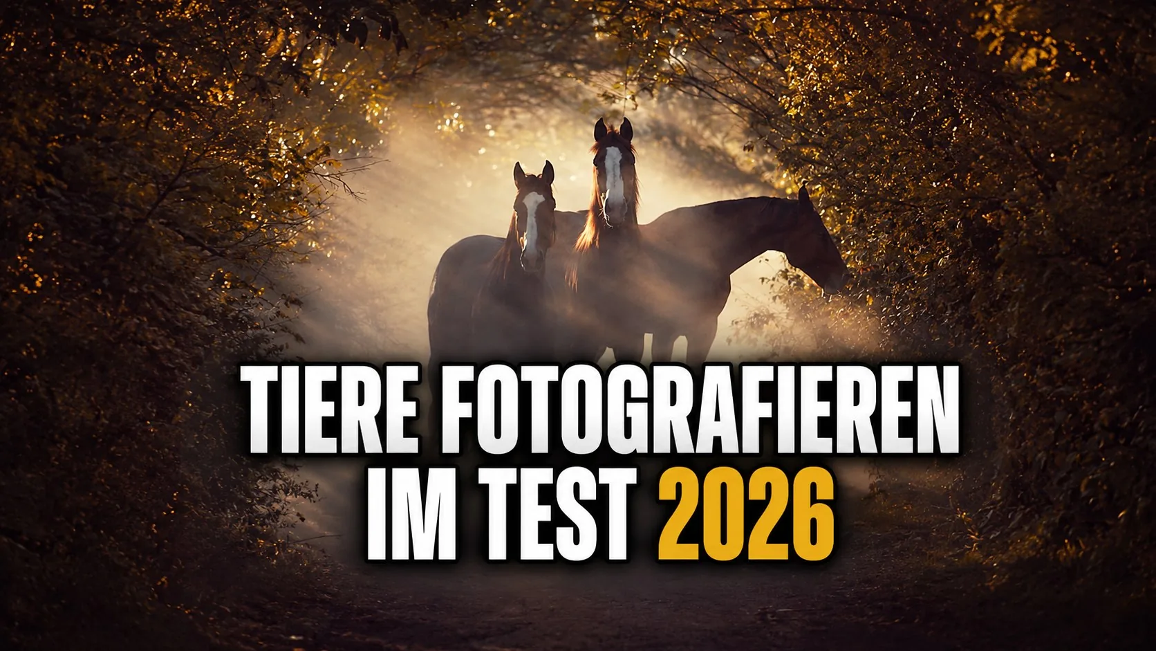 Shootcamp Tiere fotografieren Test – Kurs mit Wiebke Haas