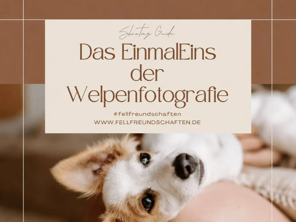 Welpenfotografie-Guide (49 €)

